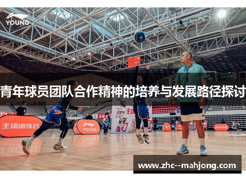 青年球员团队合作精神的培养与发展路径探讨